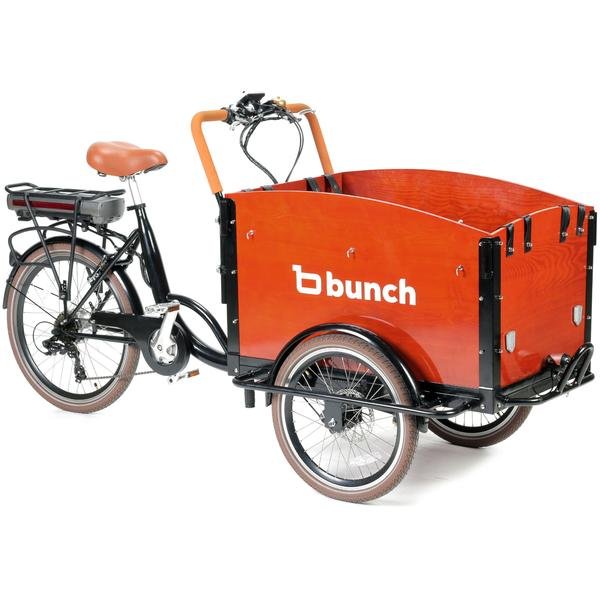 Bunch Family Cargo Bike - The Original 1.jpg